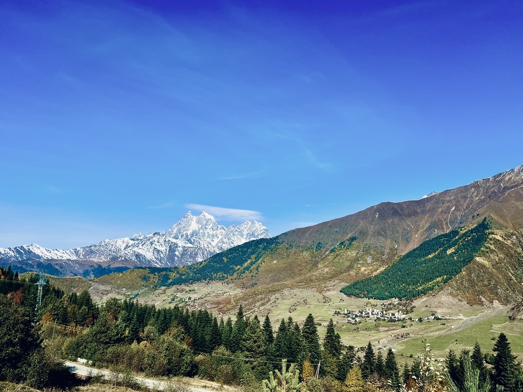 C192D67F 3A24 4F87 A0C0 D20E2574A7A5 1 105 c