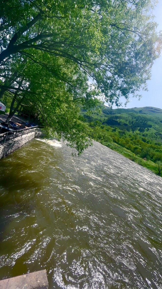 6475DD4B 12F5 4912 A09C 47FB0FB75D24 1 105 c