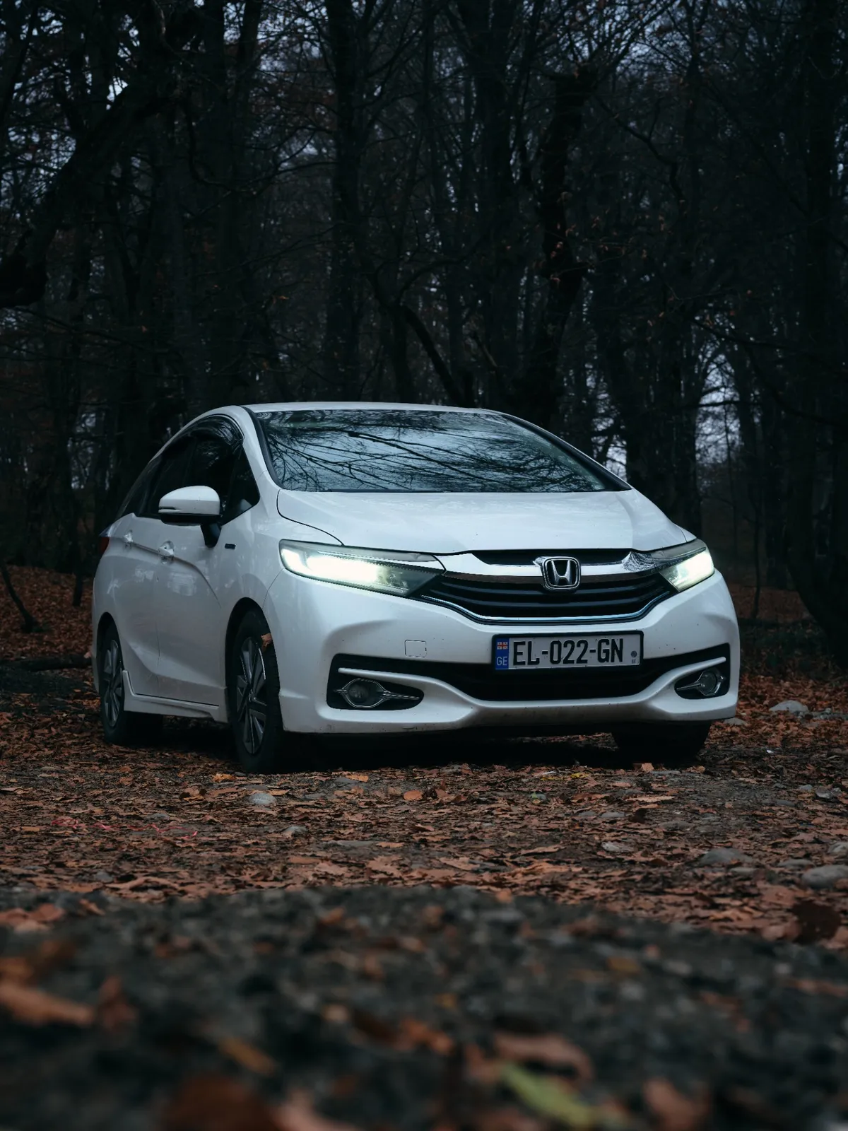 Elegant Travel Car 1